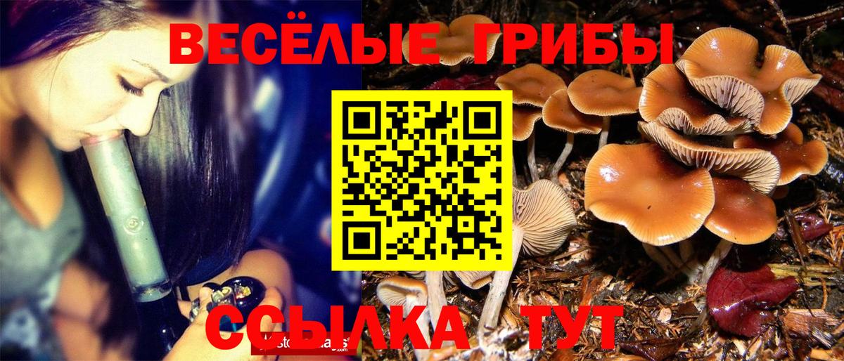 Бошки Шишки  МДМА  Вход с VPN  COCAIN  Меф кристаллы  Черняховск  ГАШ 