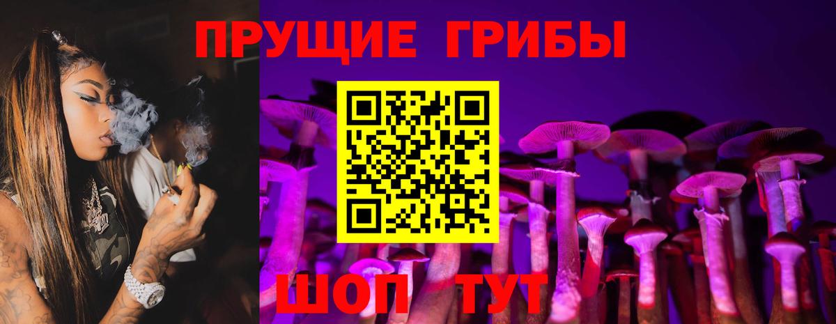 Черняховск  Галлюциногенные грибы прущие грибы  Вход с VPN 